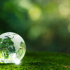 Synchronoss Earth Day Blog 2025